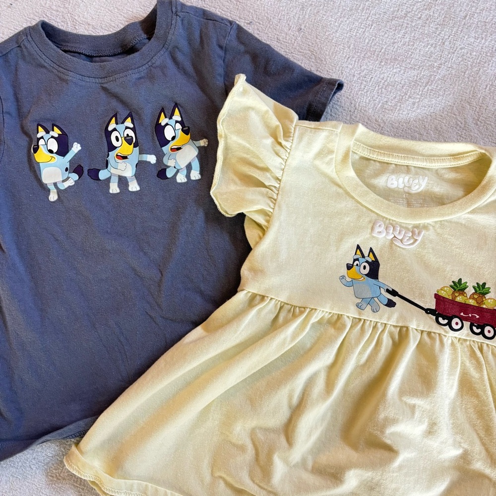 Bluey girls tee shirt and ruffle top